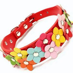 Della Terese Colorful Flowers on Rosy Red Dog Collar Size Small Gift Packaged